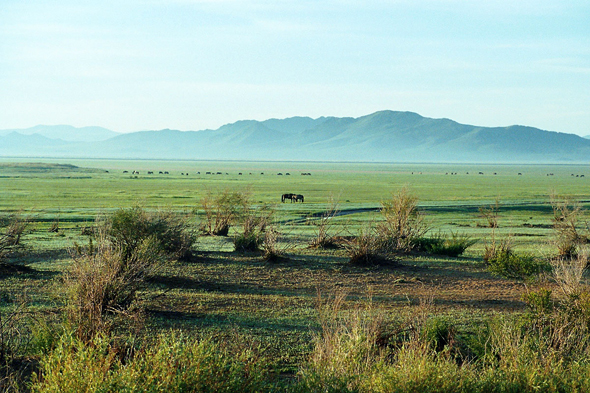 Elsentasarkhai, Karakorum, paysage