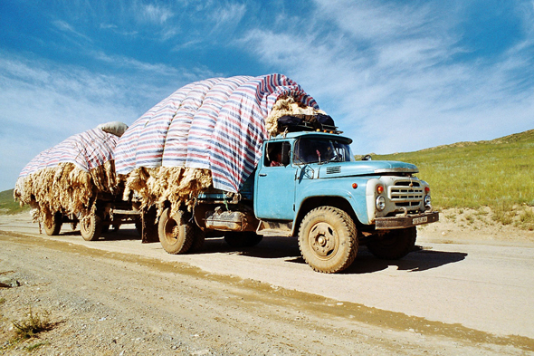 Mongolie, transport de laine
