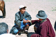 Mongolie, tabati&egrave;re