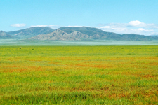 Bayanhangay, paysage
