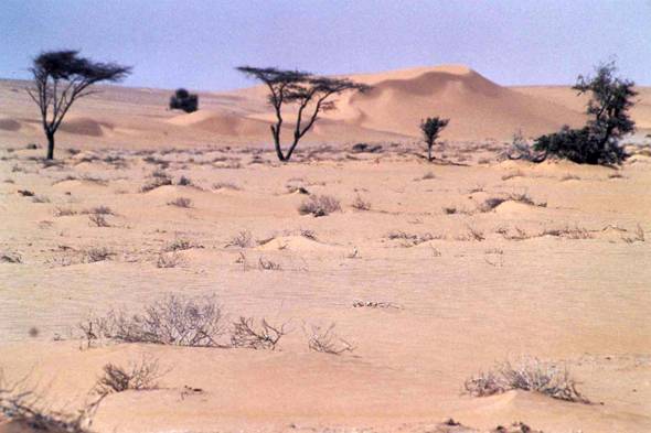 Dunes de Aïn Oumm Kteyyeb