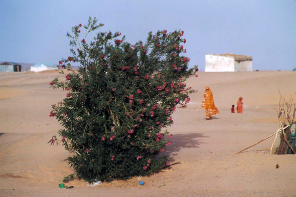 Bennichâb, Mauritanie