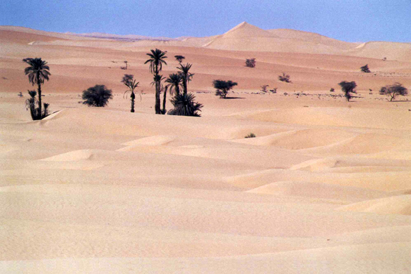 Dhar Chinguetti, Mauritanie