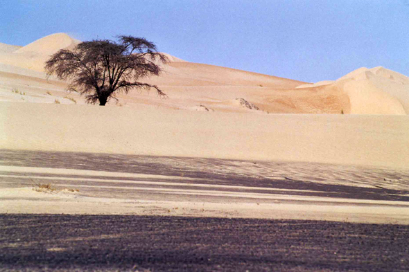 Dunes de Dhar Chinguetti