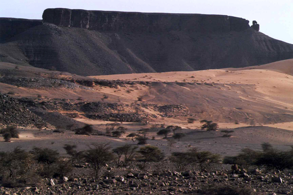 Vallée de Terjit, Mauritanie