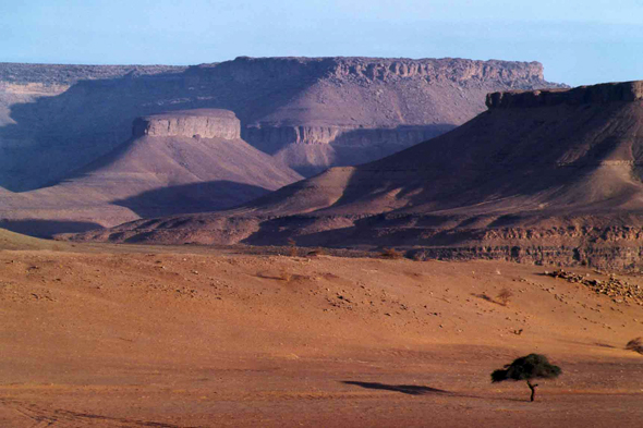 Terjit, paysage, désert