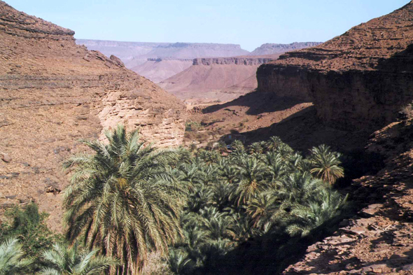 Oasis de Terjit, paysage