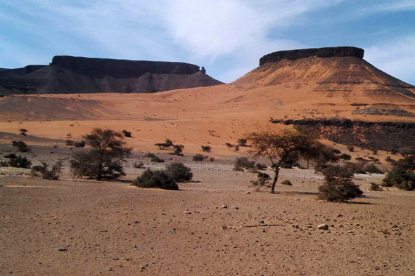 Mauritanie, vallée de Terjit