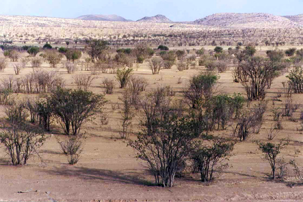 Hobatere, paysage