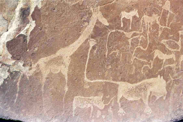 Damaraland, gravure, Twyfelfontein