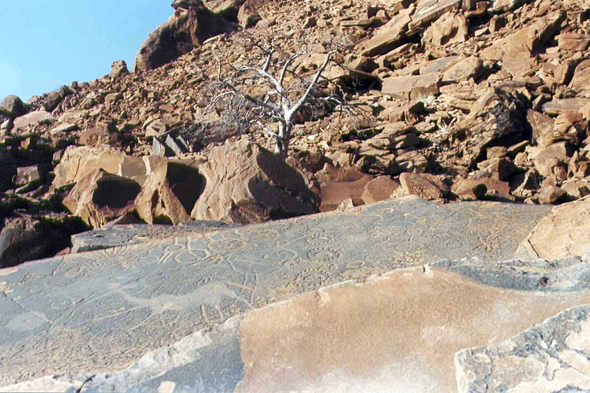 Namibie, gravure, Twyfelfontein