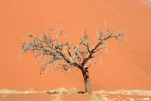 Dunes du Namib