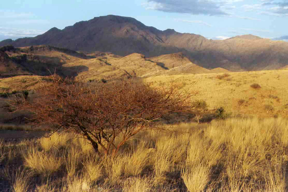 Désert de Namib, Gamsberg
