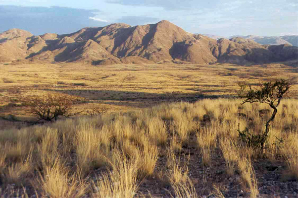 Gamsberg, paysage