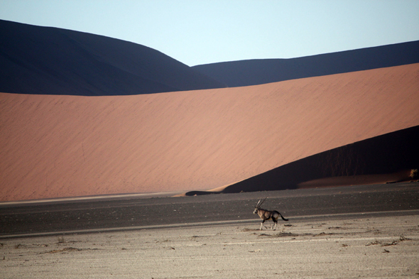 Dunes de Sossusvlei, sable