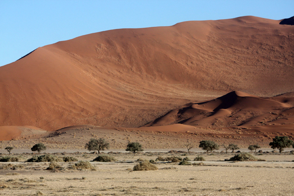 Splendides dunes de Sossusvlei