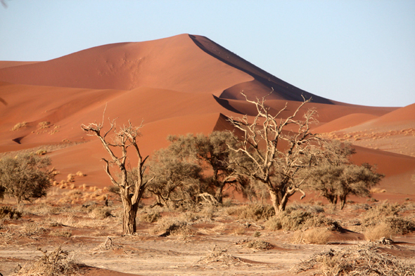 Sossusvlei, dunes oranges