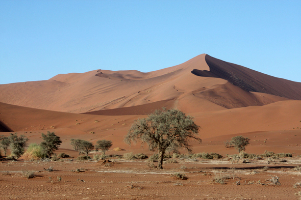 Sossusvlei, dunes, courbes