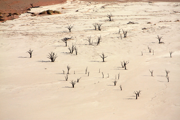 Deadvlei, paysage