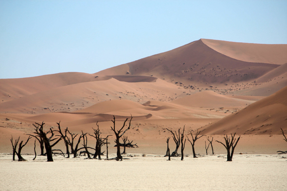 Deadvlei, magnifique paysage