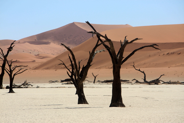 Deadvlei, paysage, Namibie