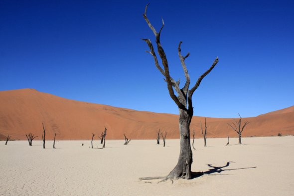 Deadvlei, dunes, Namibie