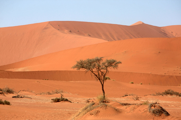 Magnifiques dunes, Sossusvlei