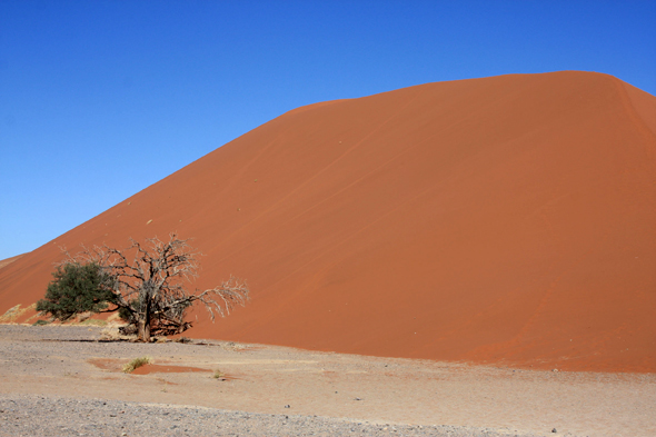 Sossusvlei, dune 45, paysage