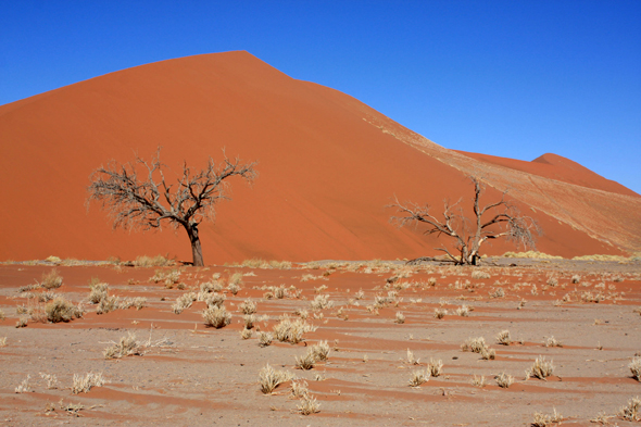 Sossusvlei, dune, randonnee