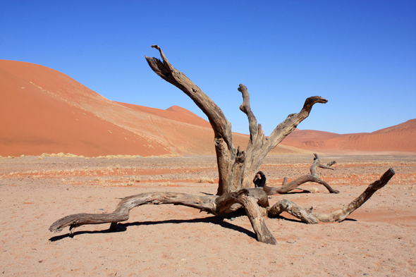 Sossusvlei, dunes étoilées