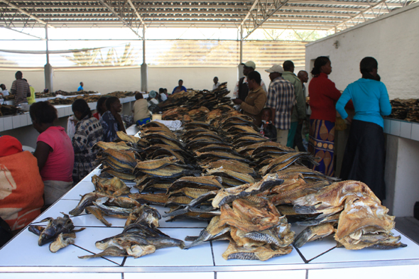 Katima Mulilo, poisson