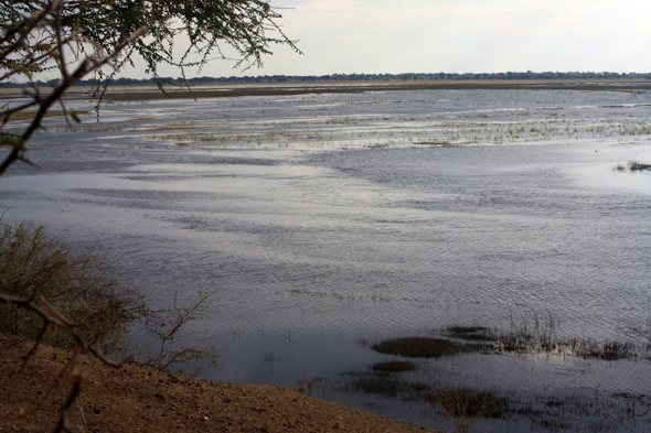 Caprivi, fleuve Zambèze