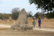 Caprivi, termiti&egrave;re