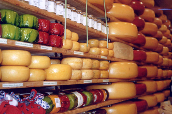 Fromage, Pays-Bas, Gouda