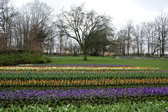 Keukenhof, parc