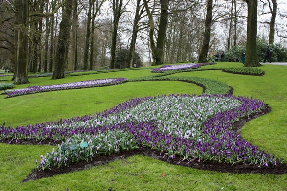 Parc, fleurs, Pays-Bas