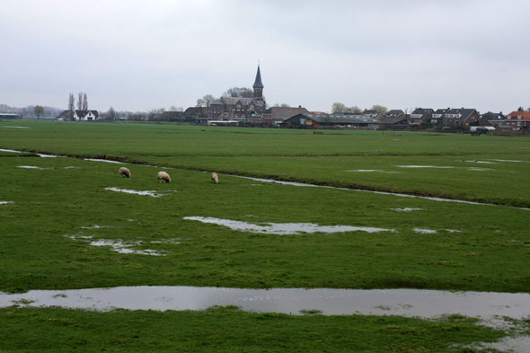 Oud-Ade, polder