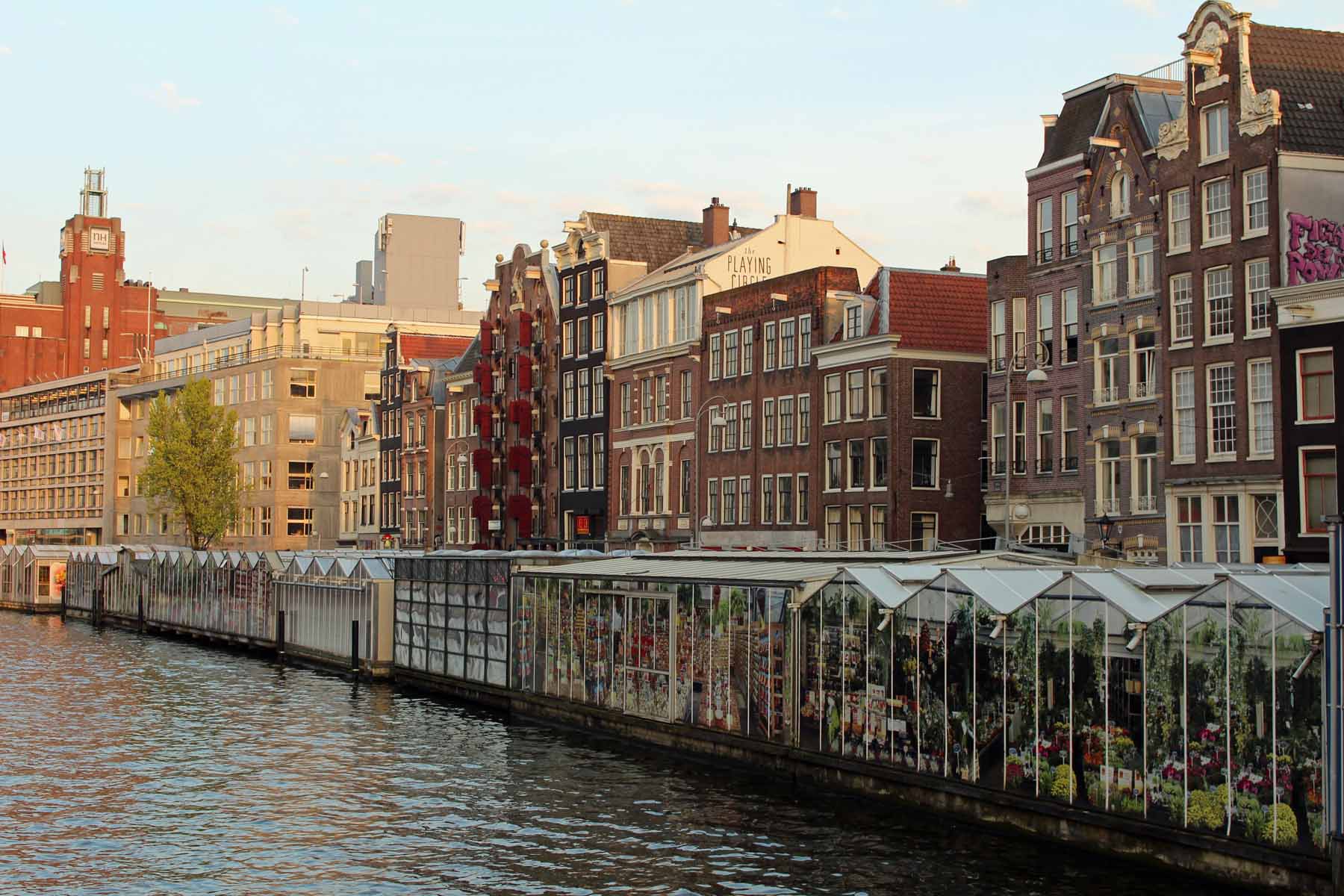 Amsterdam, marché aux fleurs