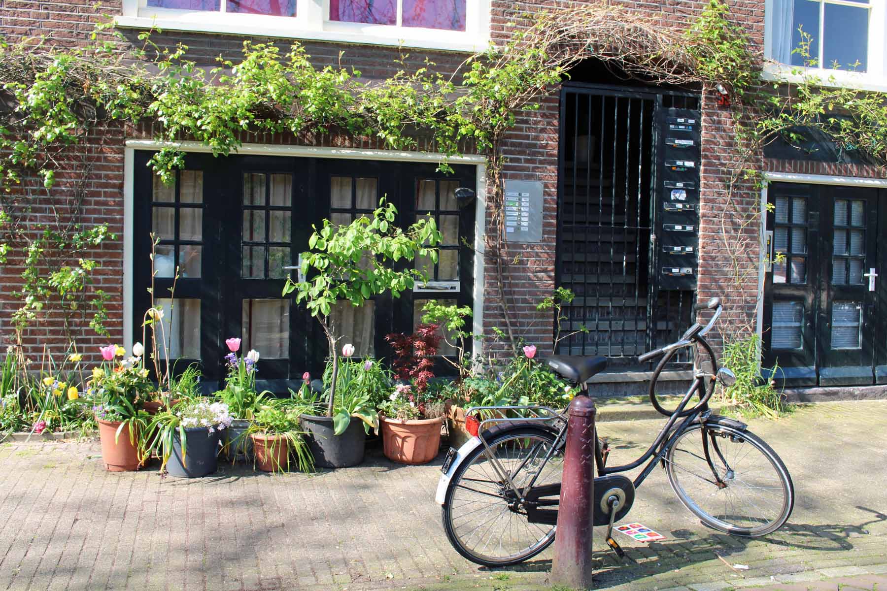 Amsterdam, Oude Waal, vélo