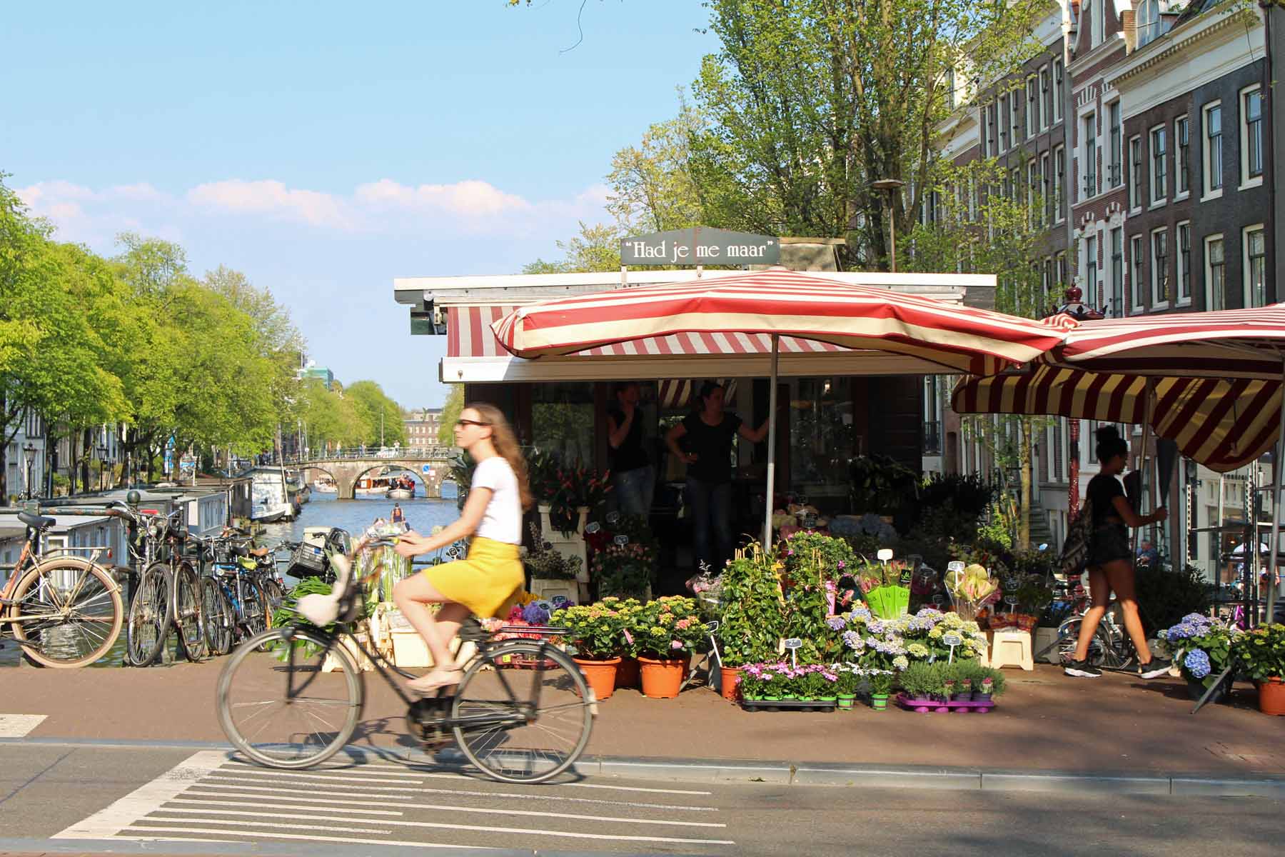 Amsterdam, fleurs, vélo, Herengracht