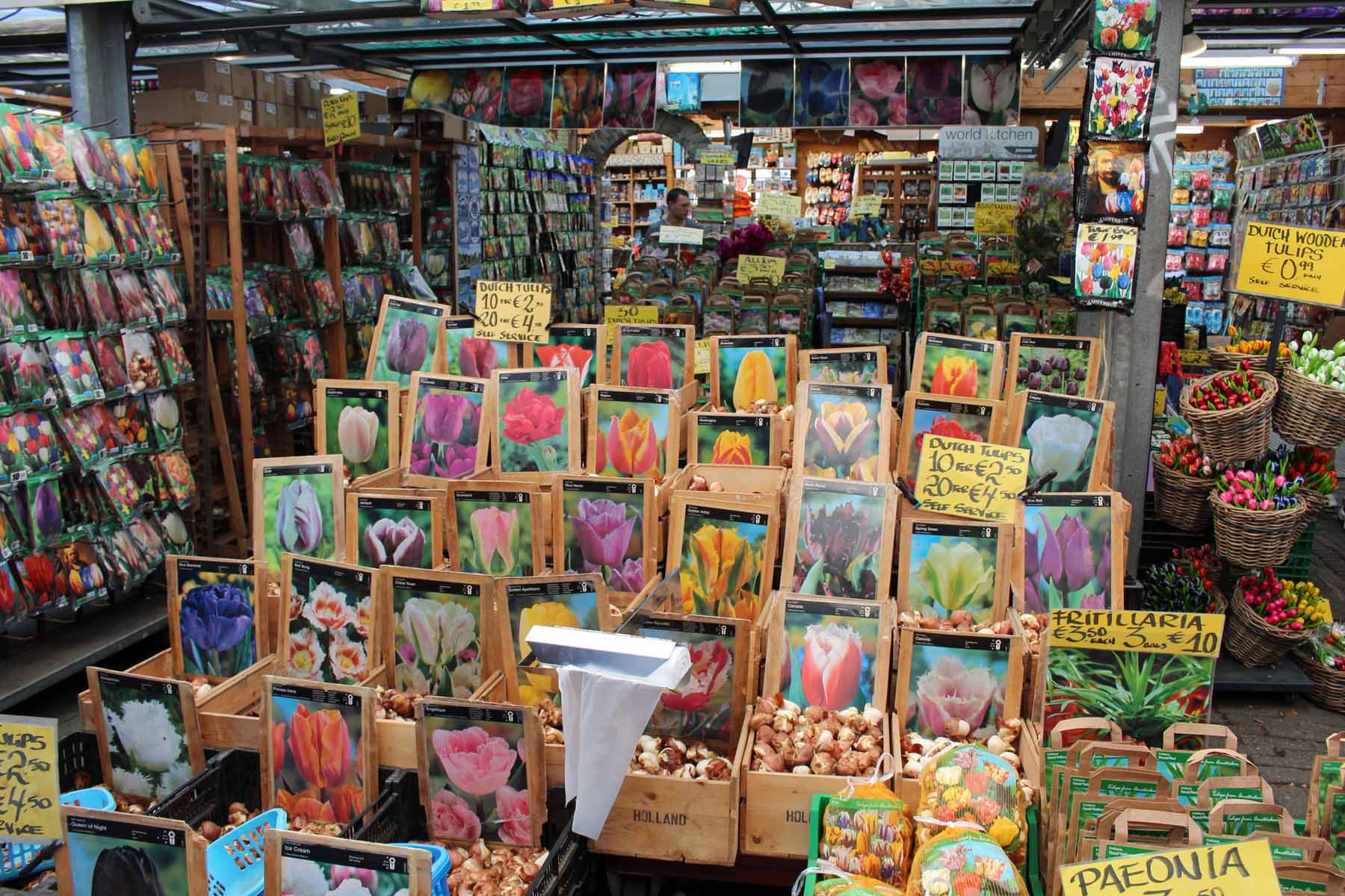 Amsterdam, tulipes, marché aux fleurs