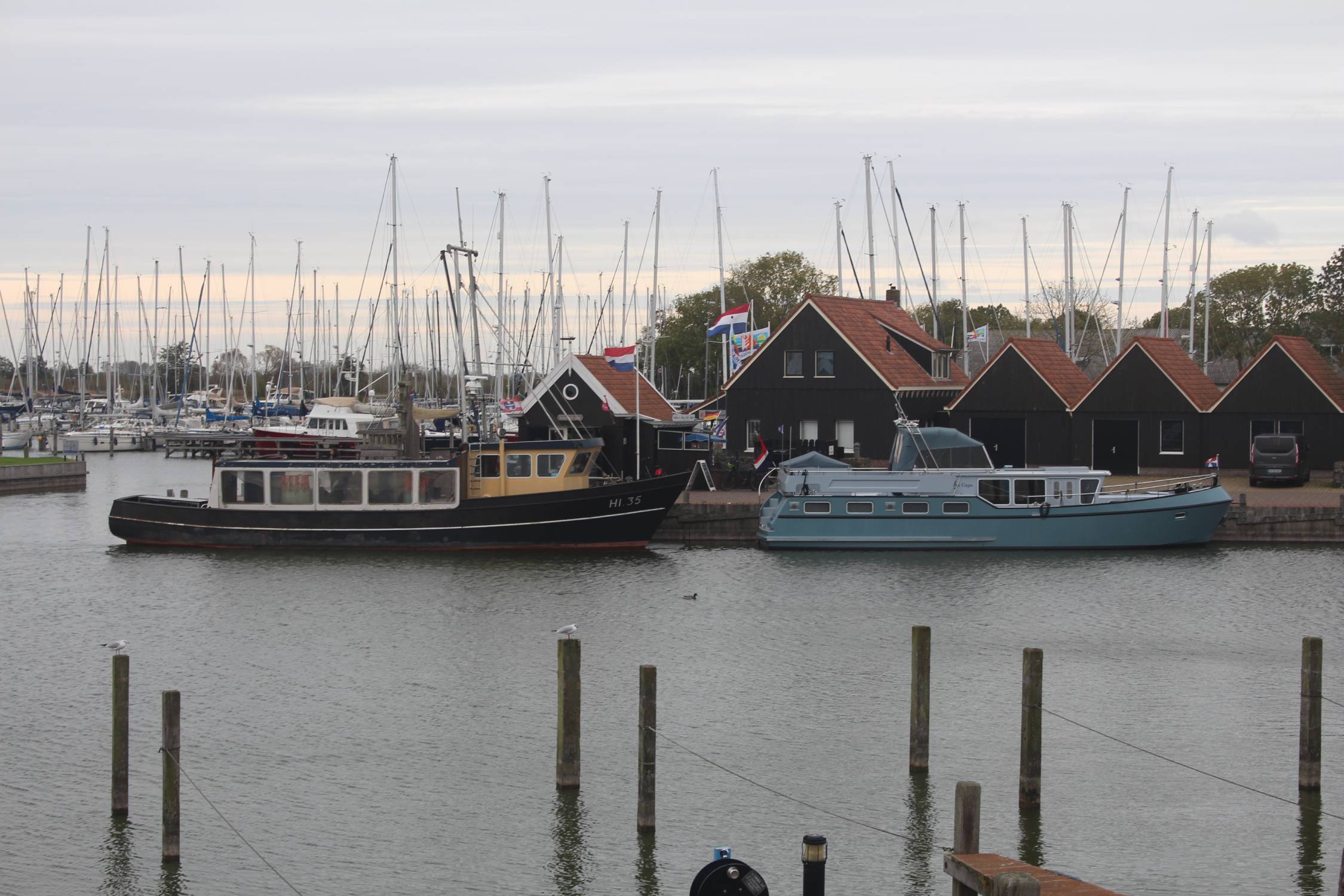 Hindeloopen, port