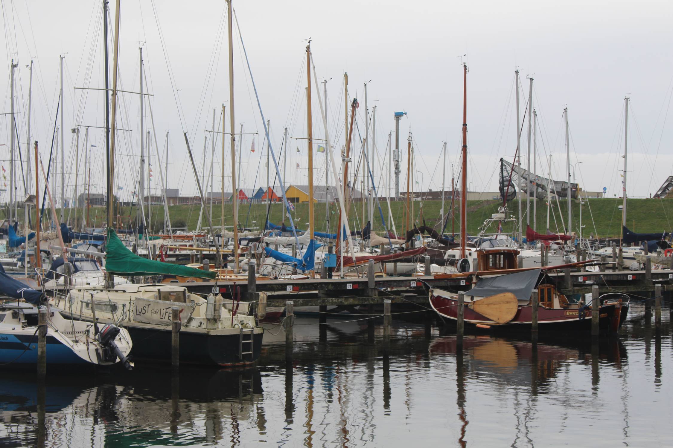 Lauwersoog, bateaux
