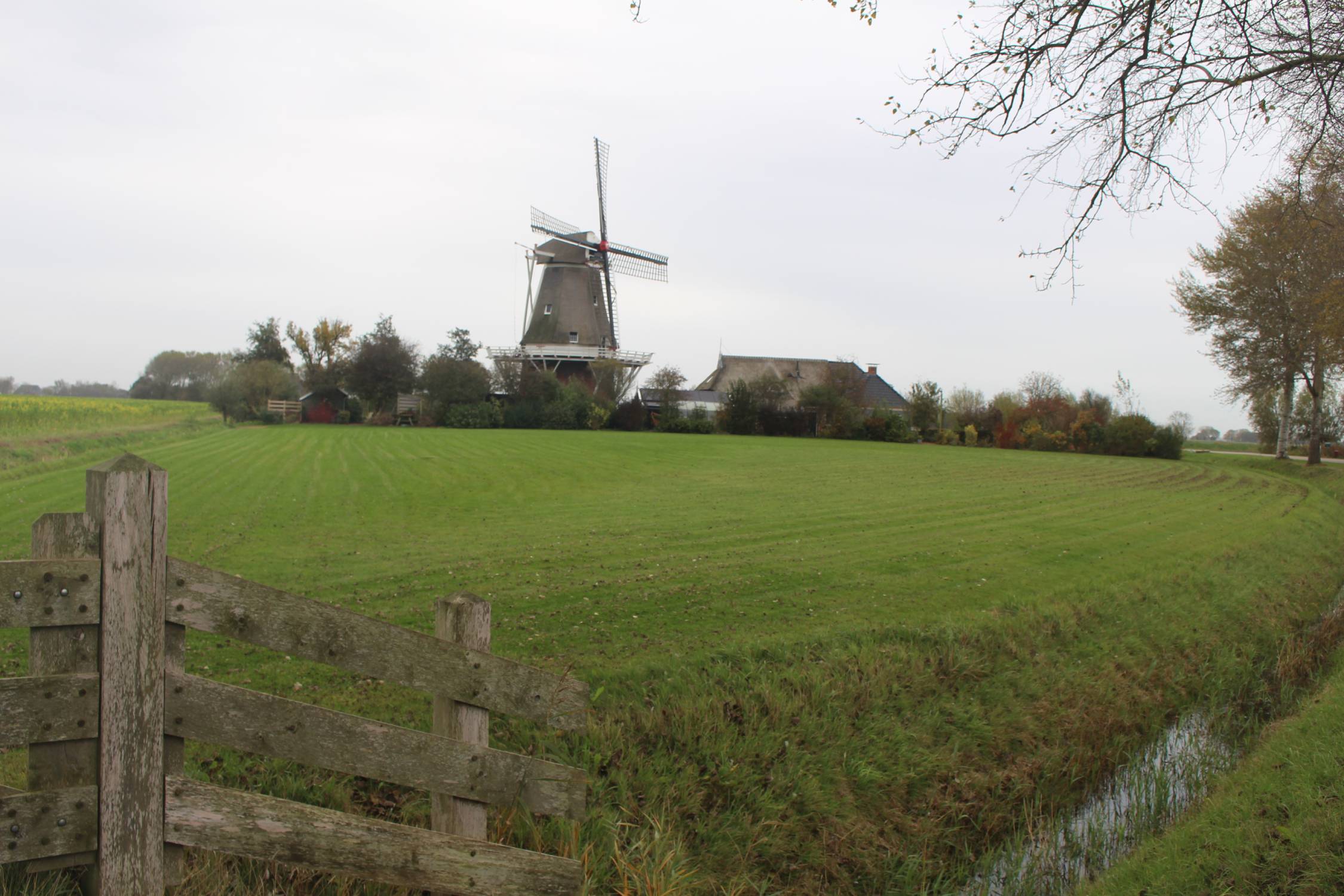 Wierum, moulin