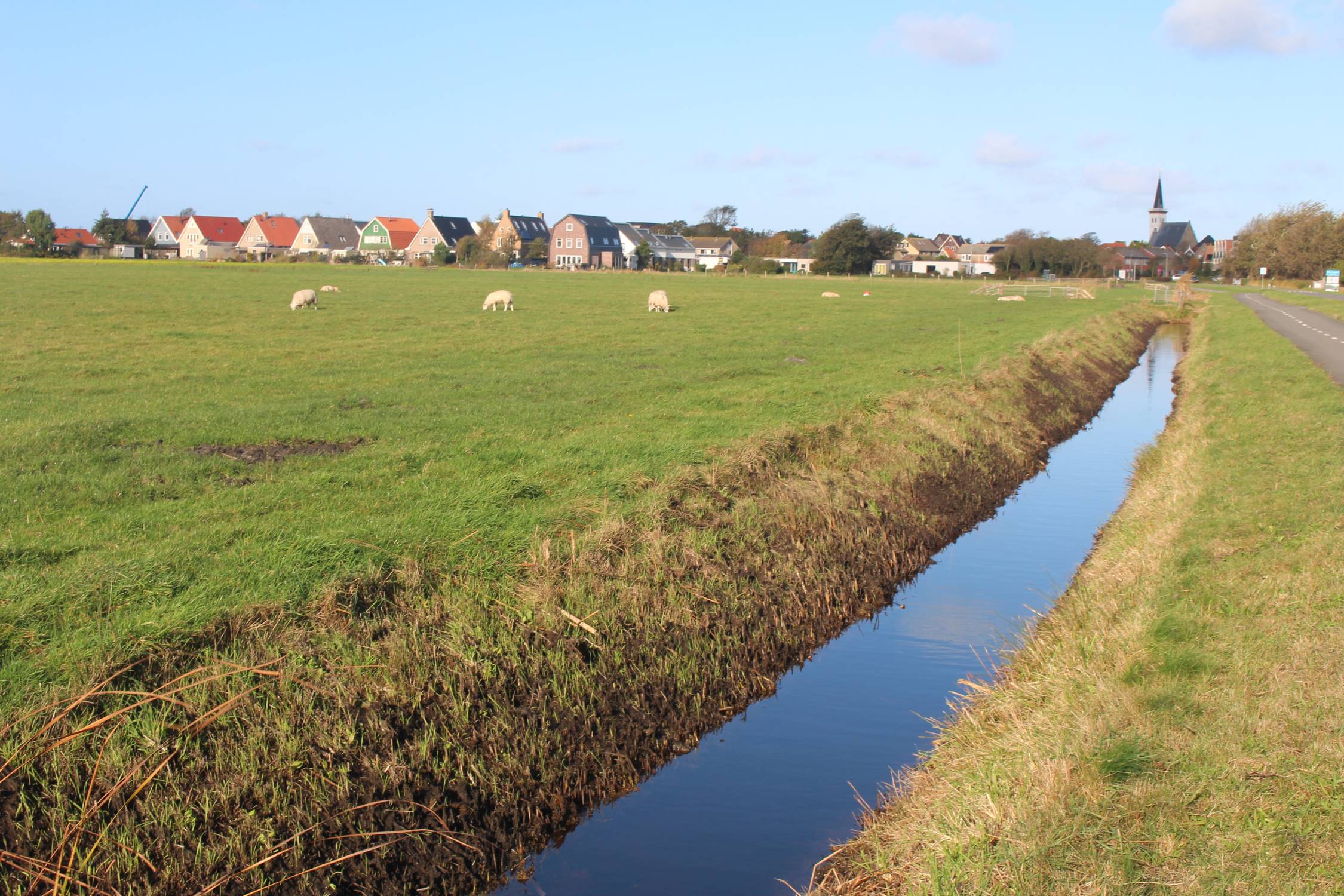 Texel, paysage