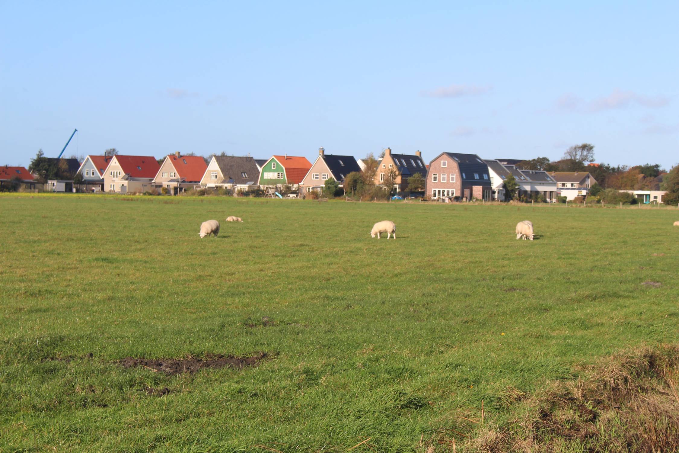 Texel, maisons typiques