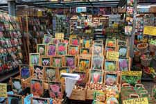 Amsterdam, tulipes, march&eacute; aux fleurs