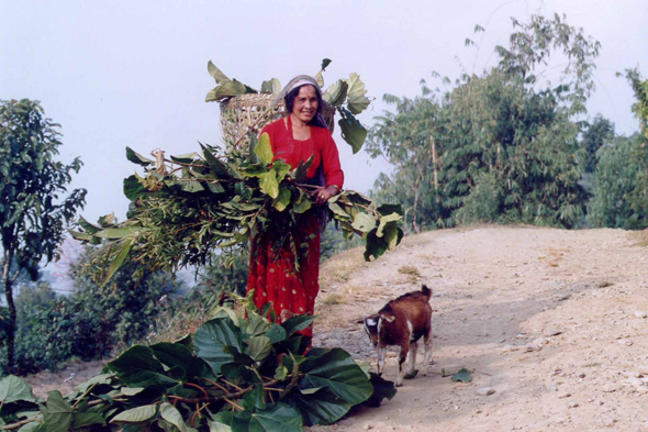 Femme Gurung, Népal