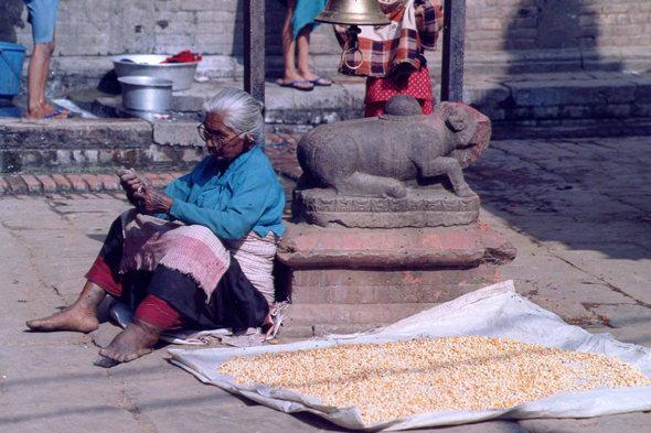 Bhaktapur, maïs, Goal Madhi