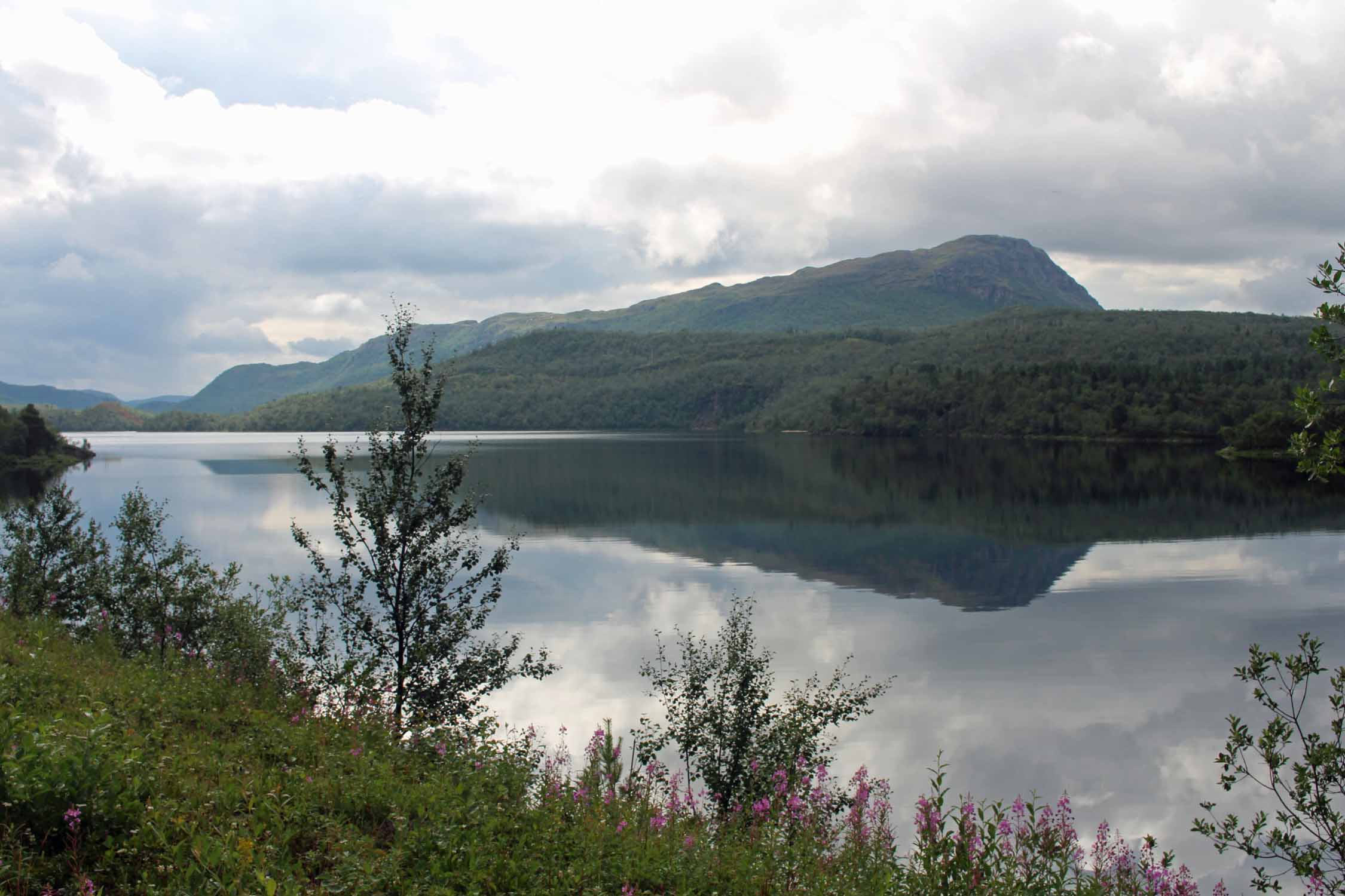 Laponie, Finmark, lac Vuolitjavri